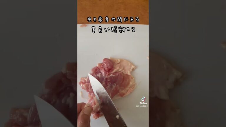 鶏ももと茄子の揚げ浸し