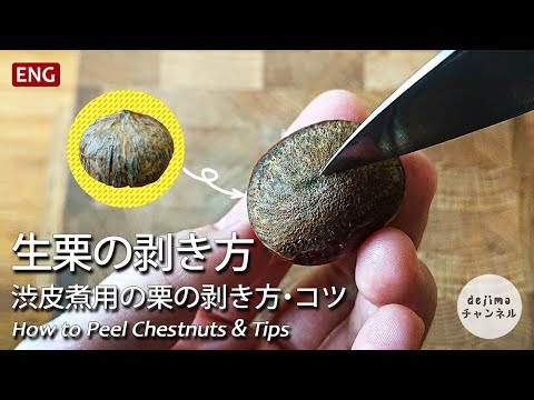 【完全解説】渋皮煮用の生栗の鬼皮の剥き方。　茹でずに、簡単に剥けるコツは栗底にある！How to peel chestnuts #栗　#スマート中華　#栗の剥き方