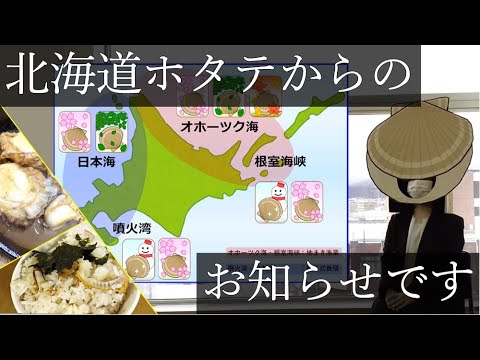ホタ天気予報～旬を探せ！道産ホタテ！～【道庁農林水プロジェクト】ホタテ編