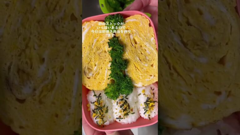 冷蔵庫に卵が大量にあるので卵弁当。もちろん、ふりかけは🥚のりたま#shorts #bento #娘弁当