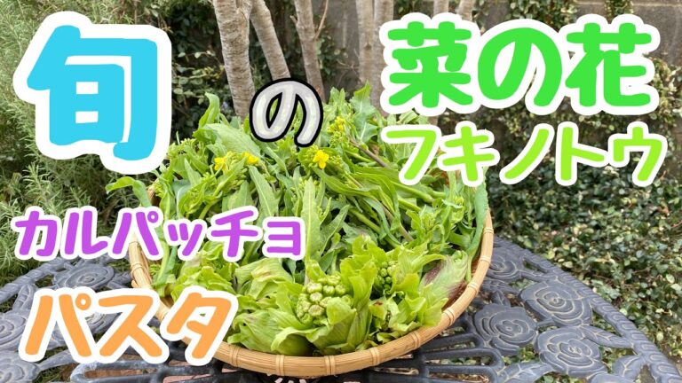旬の菜の花とフキノトウでカルパッチョと菜の花パスタを作ってみた！