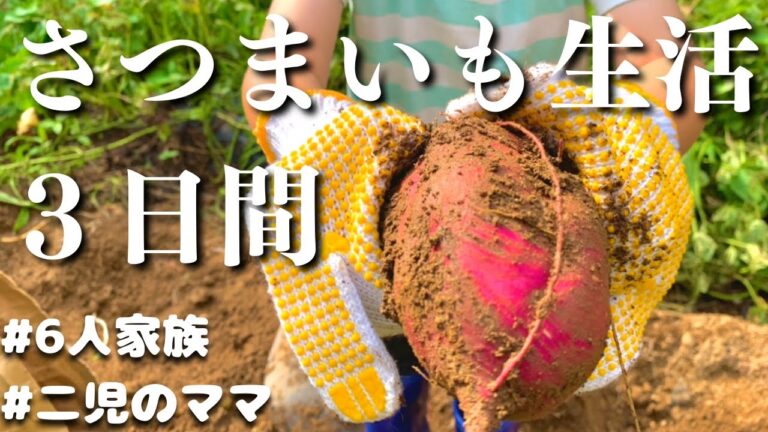 【夕飯の献立】さつまいもで作る　３日間の節約晩ご飯レシピ【主婦の夜ご飯】