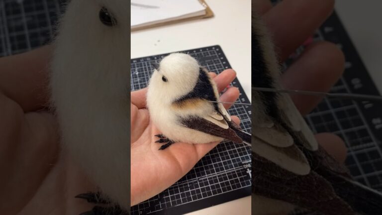 羊毛でシマエナガを作ってみました！ #shorts #羊毛フェルト #シマエナガ  #野鳥 #ハンドメイド作り方 #職人 #小鳥 #芸術 #手芸 #howto #needlefelting #アート