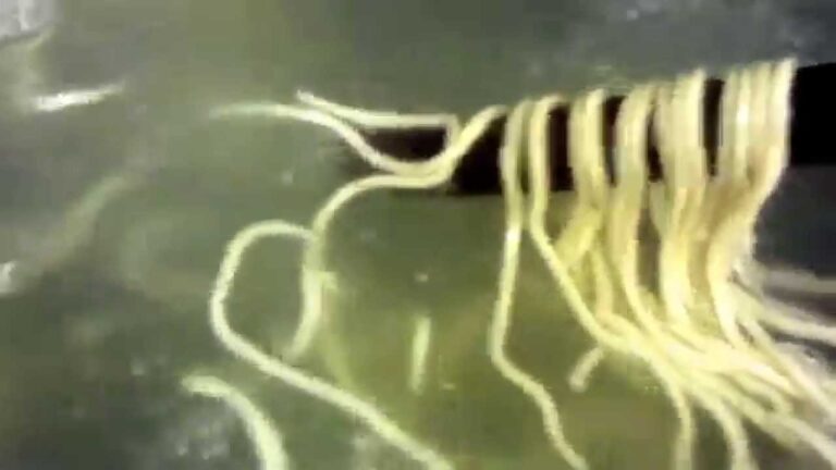 うどんと言えば...福山天満屋の結備庵(ゆうびあん）