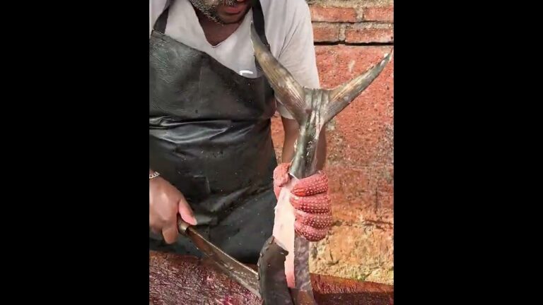 Which is the Best Way to Prepare King Fish?? Slicing for Fry or Fish Curry??