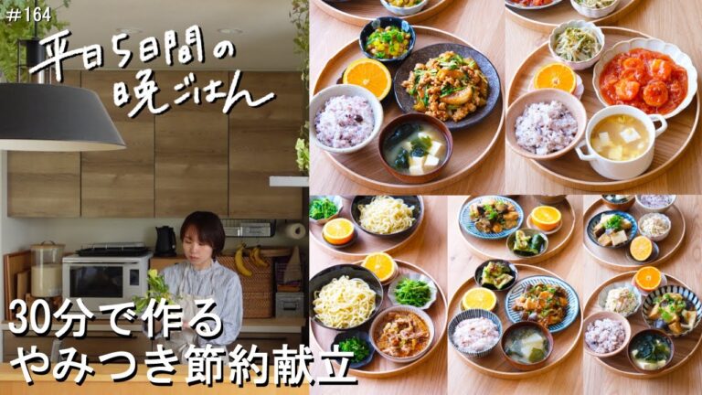【1週間30分献立#164】やみつき節約献立|茄子と厚揚げのみぞれ煮|春雨エビチリ|焼きかぶのそぼろあん|鶏むね肉となすのオイスター炒め|濃厚つけめん【管理栄養士・2～3人家族】