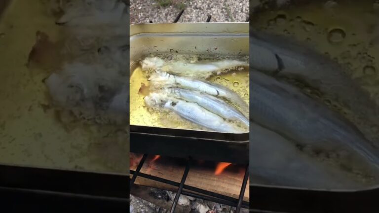 野外めし😋ししゃもの天ぷらも美味い😋