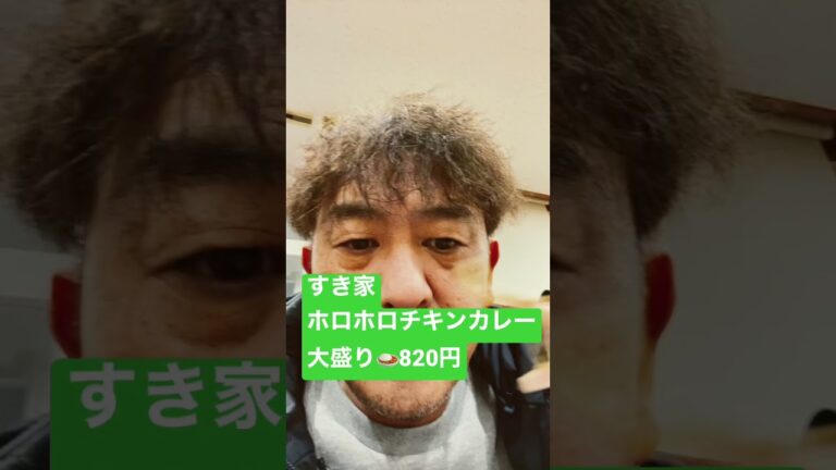 ホロホロチキンカレー「すき家」