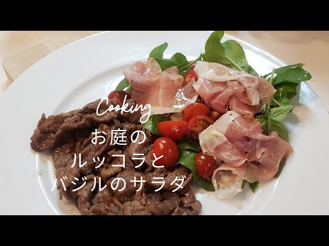庭でとれたルッコラとバジルのサラダ