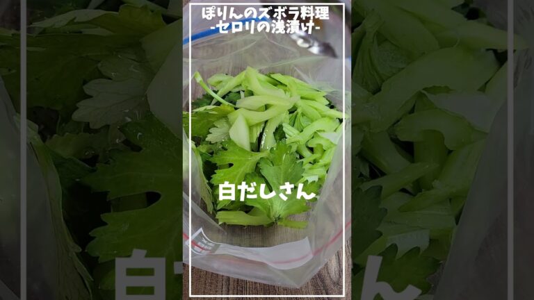 セロリ嫌いが作った、簡単！セロリの浅漬け【ズボラレシピ】