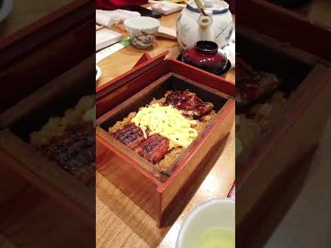 うなぎ料理若松屋（福岡県柳川市）にうなぎを食べに行ってきました／ばあちゃんの料理教室番外編 #shorts