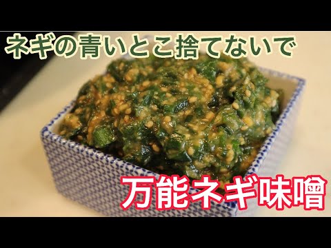 【ご飯のお供編】これだけで米２合食べられる！『万能ネギ味噌』の作り方