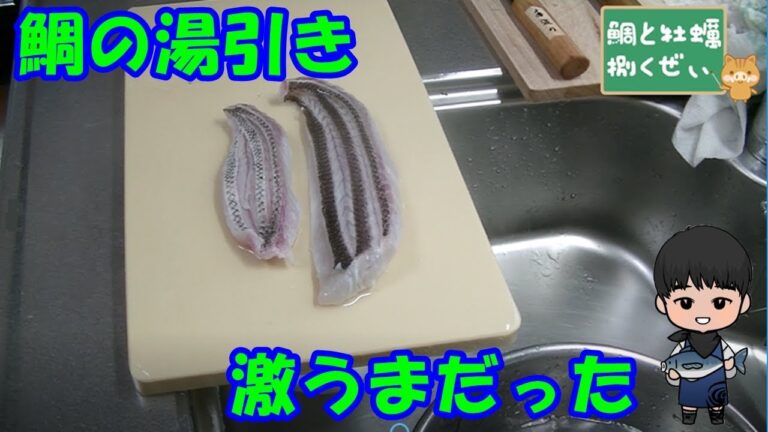 鯛の湯引き初めて！牡蠣も初めて！！