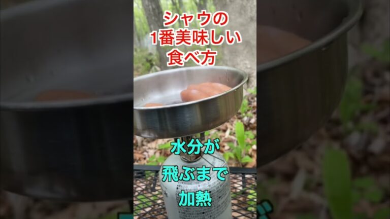【最強キャンプ飯】シャウエッセンを1番美味しく食べる方法 #shorts