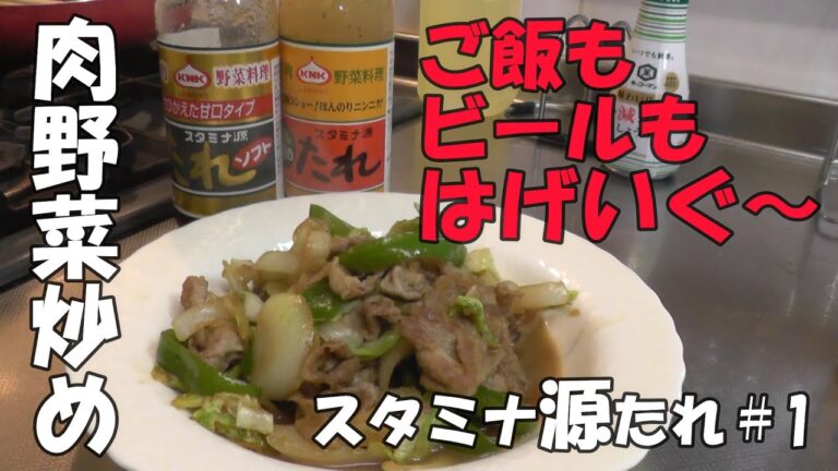 スタミナ 源たれ【肉野菜炒め、漬け焼きイカ】＃1