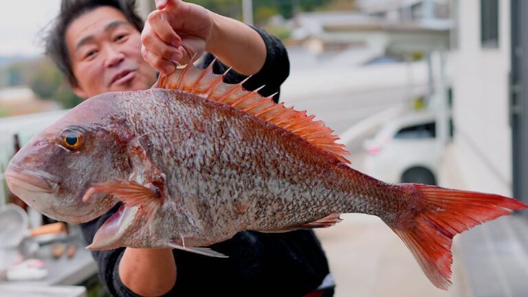 【簡単20分】至高の鯛茶漬け／冬の真鯛（68cm)世界一おいしい食べ方！