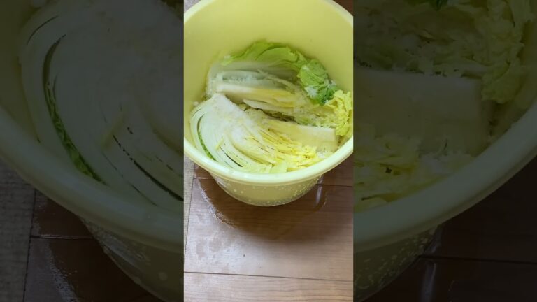 #白菜のお漬物#塩#唐辛子#伯方の塩#shorts