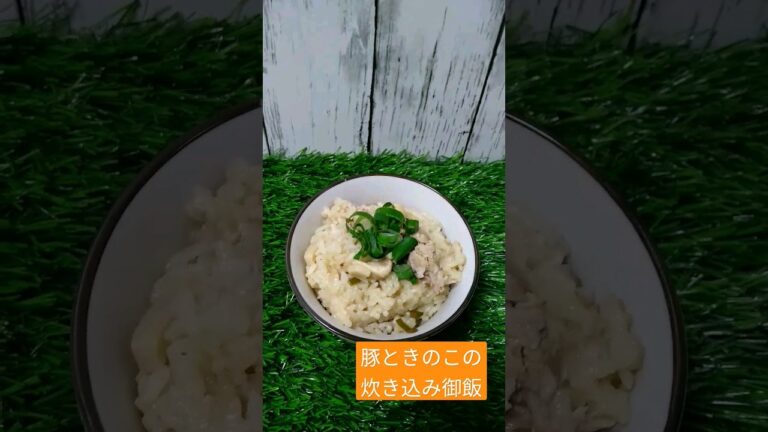 【デブ飯】【豚ときのこの炊き込み御飯】冷蔵庫の残り物レシピ！だってエリンギとネギと豚肉しかなかったんだもん。味付けは白だしとお醤油をタラリ★出来上がりの香りと味は格別でした！！美味しい～