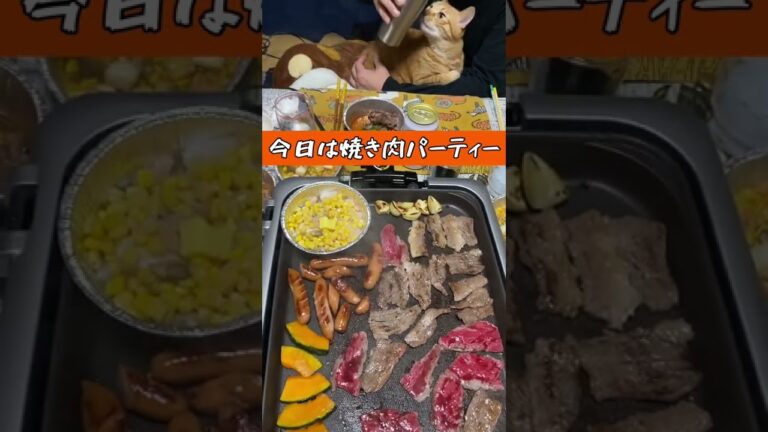 【晩ご飯】大家族の今日の夕飯は「焼き肉パーティー」#shorts