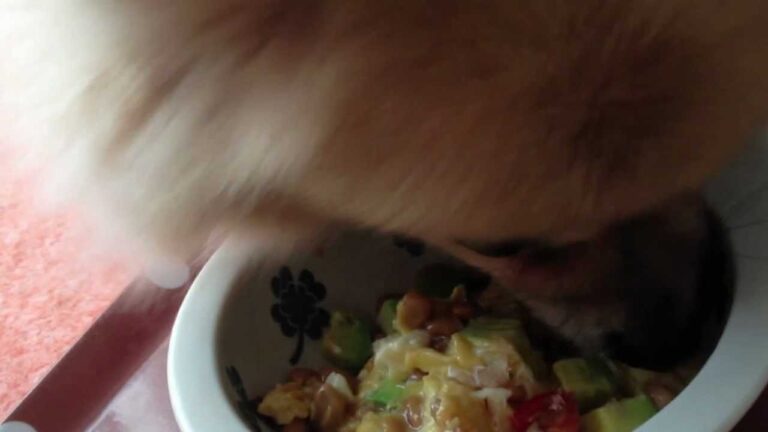 【モフモフごはん】納豆とアボカドのとろとろオムレツ