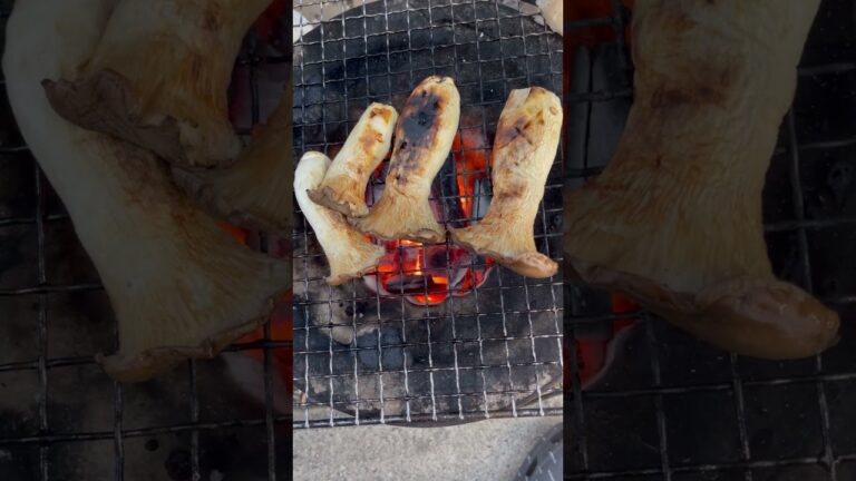 エリンギを焼いてみた🔥I tried grilling king oyster mushrooms🔥#asmr  #エリンギ #king oyster mushrooms