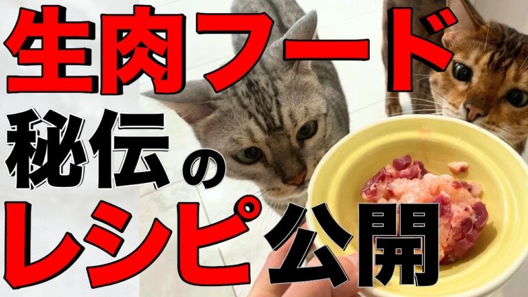 【レシピ公開】手作り生肉フードで愛猫の健康サポート【随時ブログ更新】