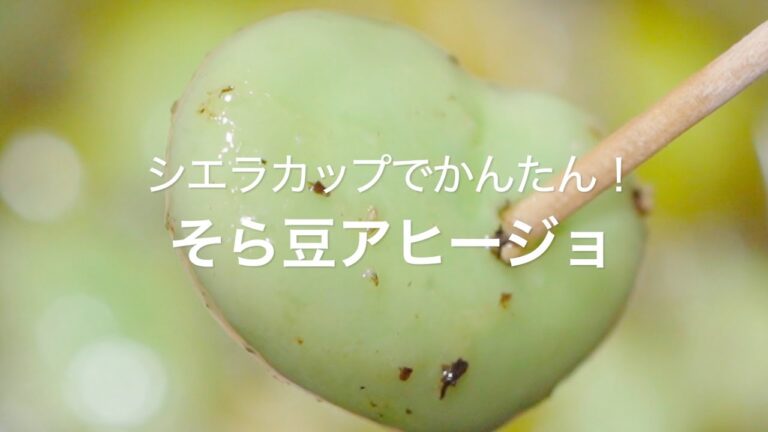 【シエラカップでかんたん！そら豆アヒージョ】