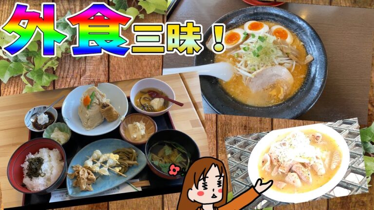 【湯葉料理・豚もつ煮・味噌ラーメン】ドライブしながら外食三昧してきたよ！｜下手のり子の料理日記#49