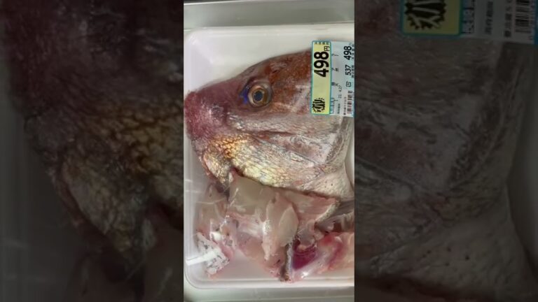 マミーが特大鯛のお頭を買ってきたので、アクアパッツァにした🐟🍅🍾#料理動画　#アクアパッツァ　#鯛 #あさり片栗粉