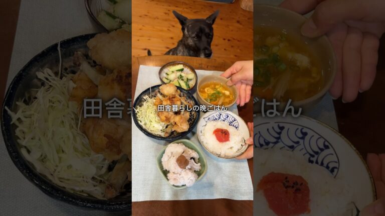 晩ごはんはチューリップの唐揚げ🍗 #料理 #晩ごはん作り #簡単レシピ