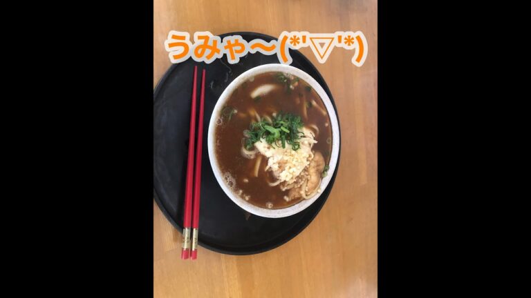 市販のスガキヤ味噌煮込みうどんパックで自炊した
