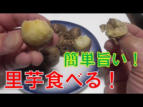 里芋食べる。蒸すだけ、旨い！