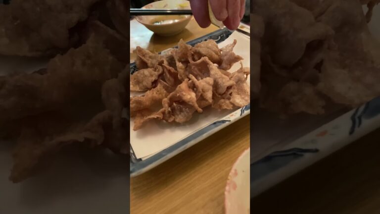 餃子や【新橋】【鶏皮からあげ】【美味しい】【オススメ】【昭和の雰囲気】#shorts