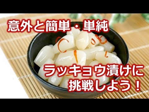 下処理は水洗いだけ、数日漬けたら終わり!意外と簡単なラッキョウ漬けに挑戦しよう!