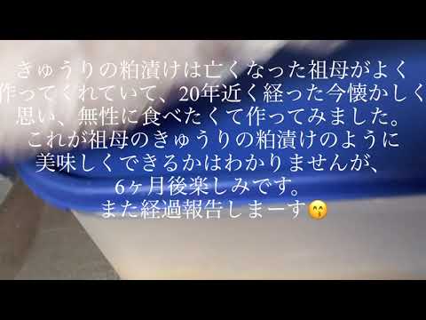きゅうりの🥒粕漬け作ってみました