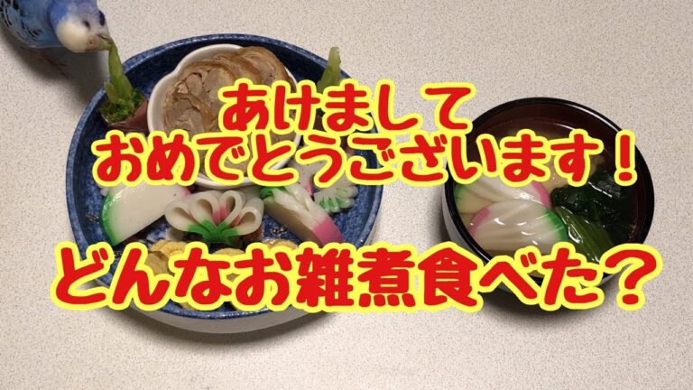 どんなお雑煮食べた？