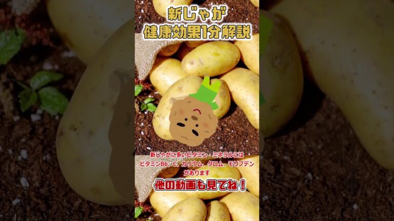 【ゆっくり解説】新じゃがの栄養を1分で解説 #shorts