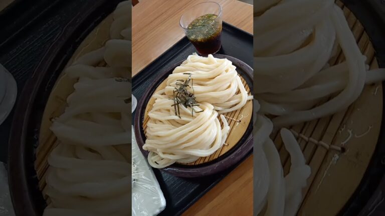 【ざるうどん２玉】【おむすび】【460円】【糖尿病】【食事日記】【讃岐】