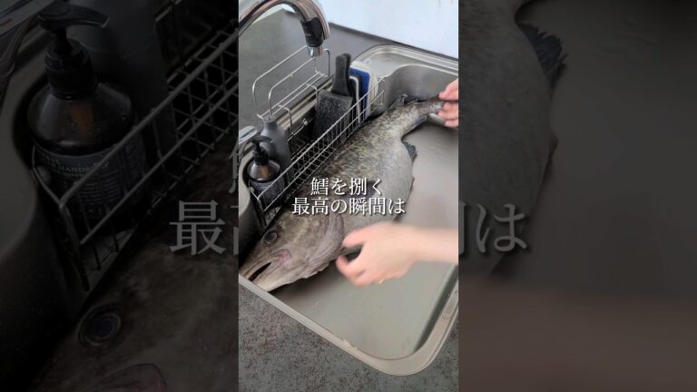 真鱈のお腹の中がやばい #shorts