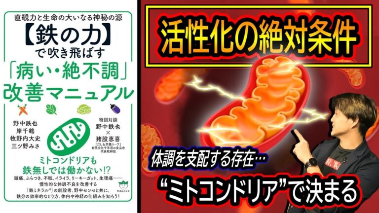 ミトコンドリア活性化に必要な栄養素はこれです！失敗しない注意点を徹底解説！