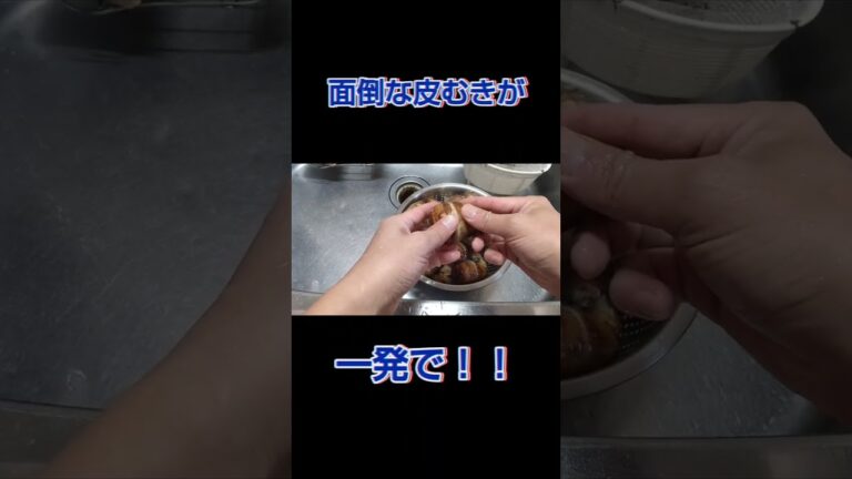 里芋収穫！そして面倒な皮むきを一発で！！やり方はコメント欄の動画から！