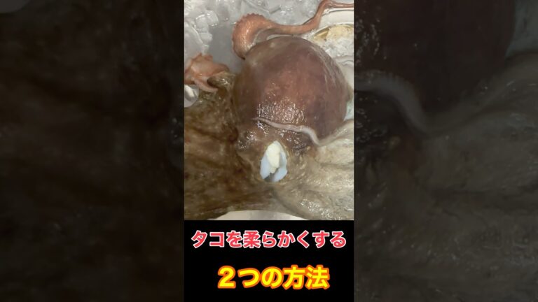【魔の温度帯の活用！】タコを柔らかくする２つの方法 #料理教室 #shorts