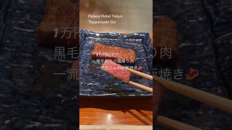 １万円以下で黒毛和牛の霜降り肉ステーキが味わえる!一流ホテルの鉄板焼きランチ #パレスホテル東京 #鉄板焼濠  #鉄板焼き #東京グルメ #東京ホテル #shorts #tokyogourmet