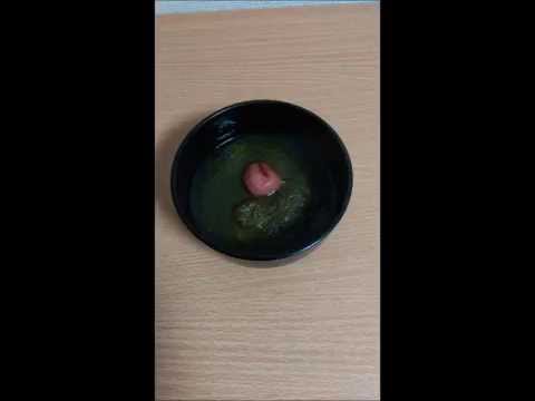 簡単レシピ『梅とろろスープ』