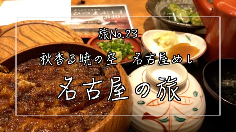 【名古屋の旅】名古屋名物ひつまぶし/味噌カツ/味噌煮込みうどん/セントレアで見るドリームリフター等名古屋堪能の旅