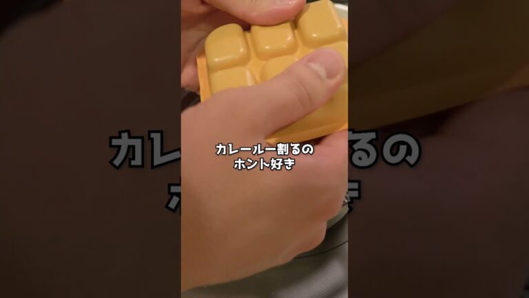 カレーは鶏むねと玉ねぎだけで戦える #shorts