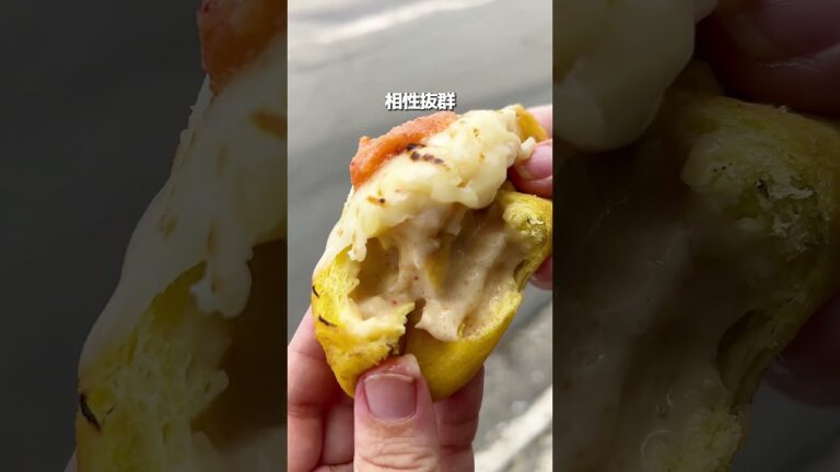 新登場の明太グラタン　#新潟　#新潟グルメ　#japanesefood  #niigata　#shorts  #yummy