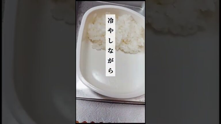 お弁当作り必見！忙しい朝はお弁当を冷しながら作る #shorts #お弁当