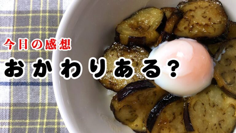 【夜ごはん】貧相なんて言わせない！使う野菜は1種類(笑)おかわりなくてごめんなさい！簡単ナスの甘辛丼【節約レシピ】