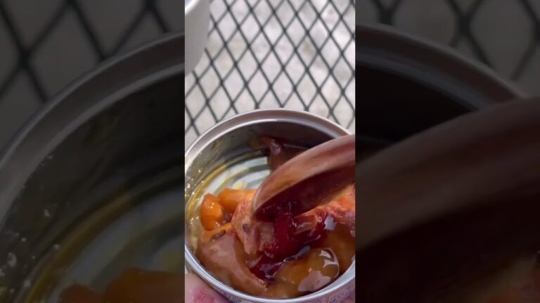 【キャンプ飯】チーズダッカルビ風丼【メスティン】 #キャンプ #ソロキャンプ #簡単 #飯テロ #蒼井屋